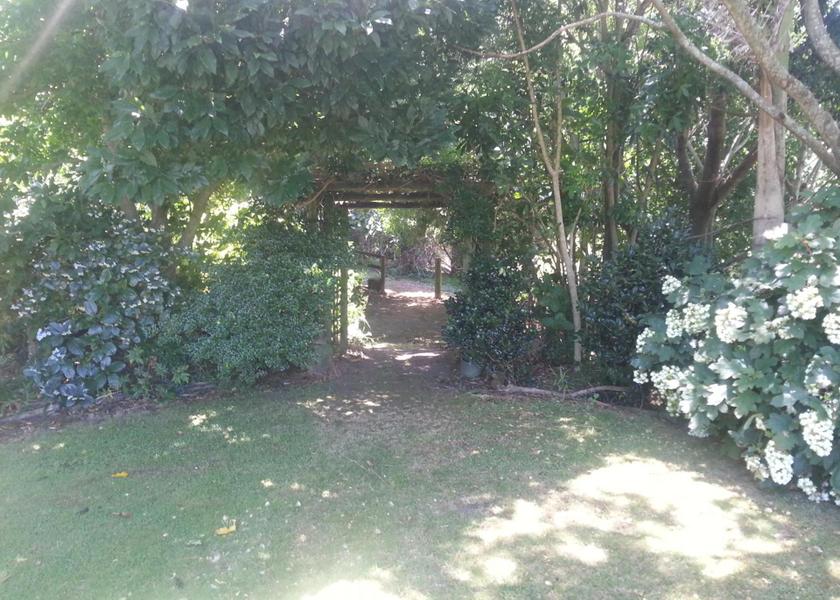 Bay of Plenty Region Opotiki View