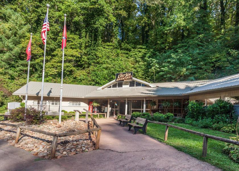 Surrounding environment