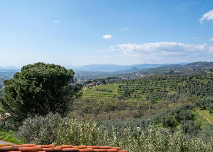 Tuscany Lamporecchio 