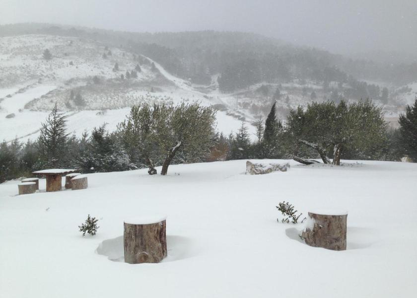 Surrounding environment