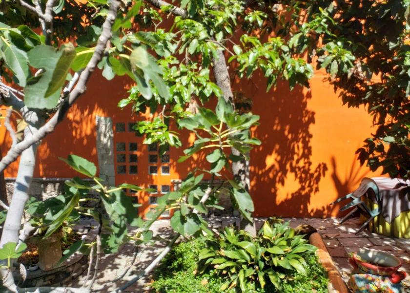 Guanajuato Guanajuato Garden