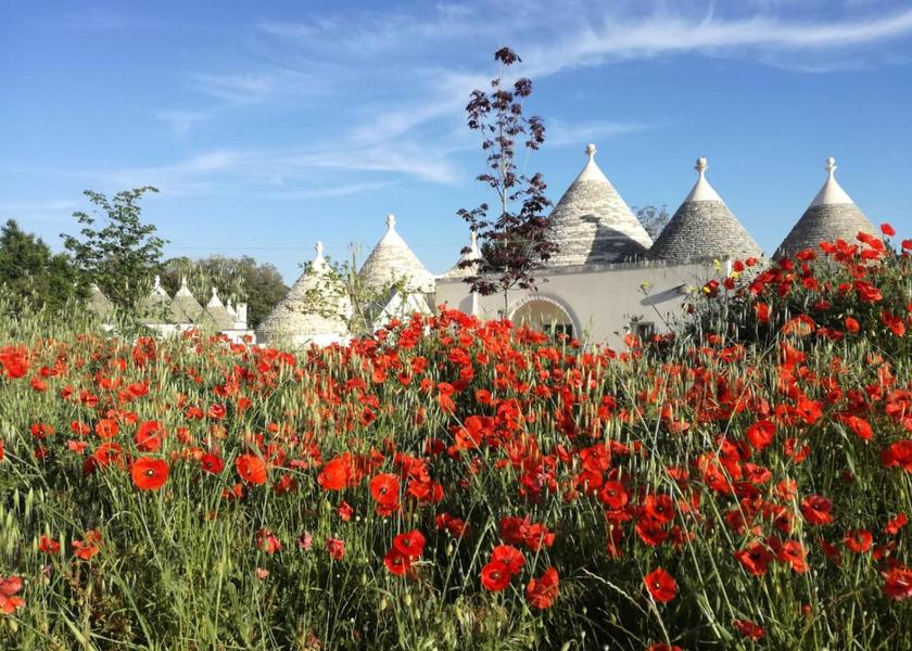 Puglia Locorotondo 