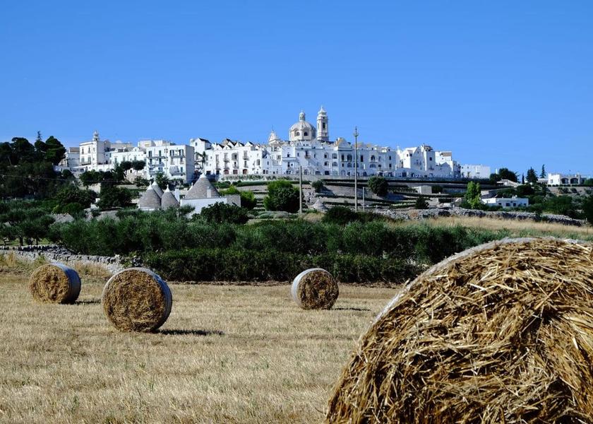 Puglia Locorotondo 