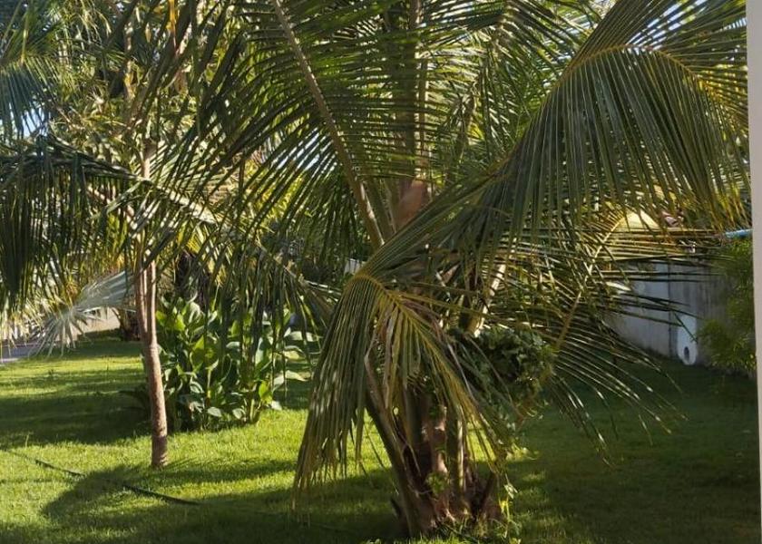 Maranhão Barreirinhas 