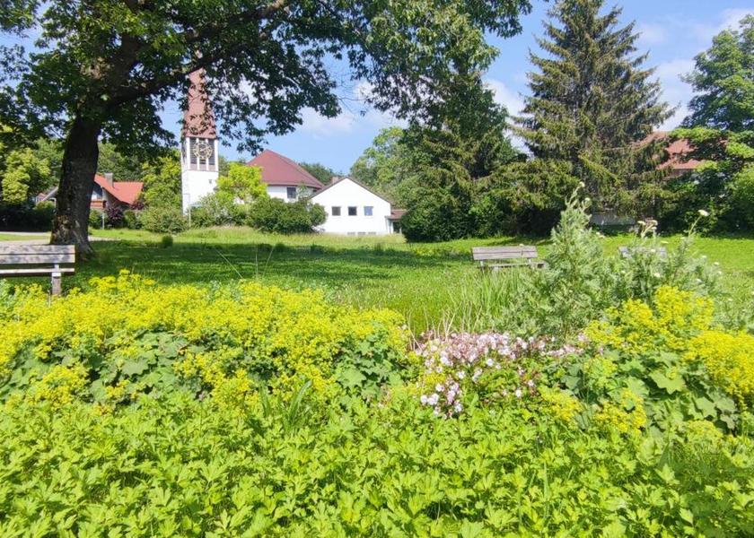 Surrounding environment