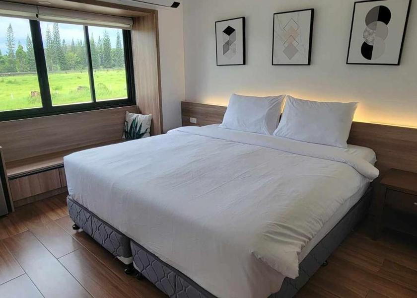 Northern Mindanao Manolo Fortich Superior Single Room