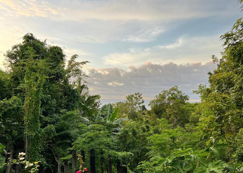 Surrounding environment