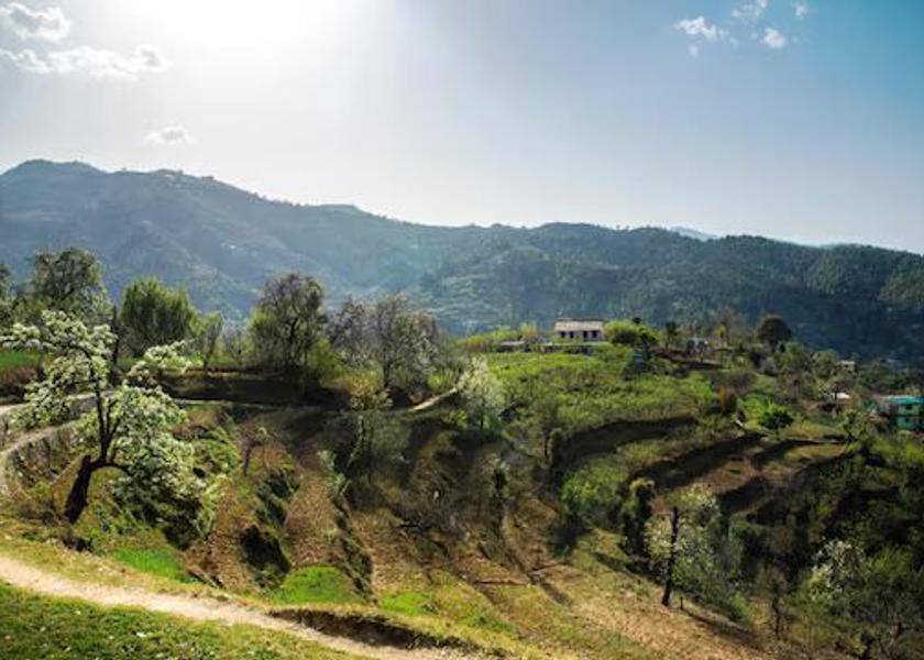 Uttarakhand Mukteshwar Outdoors