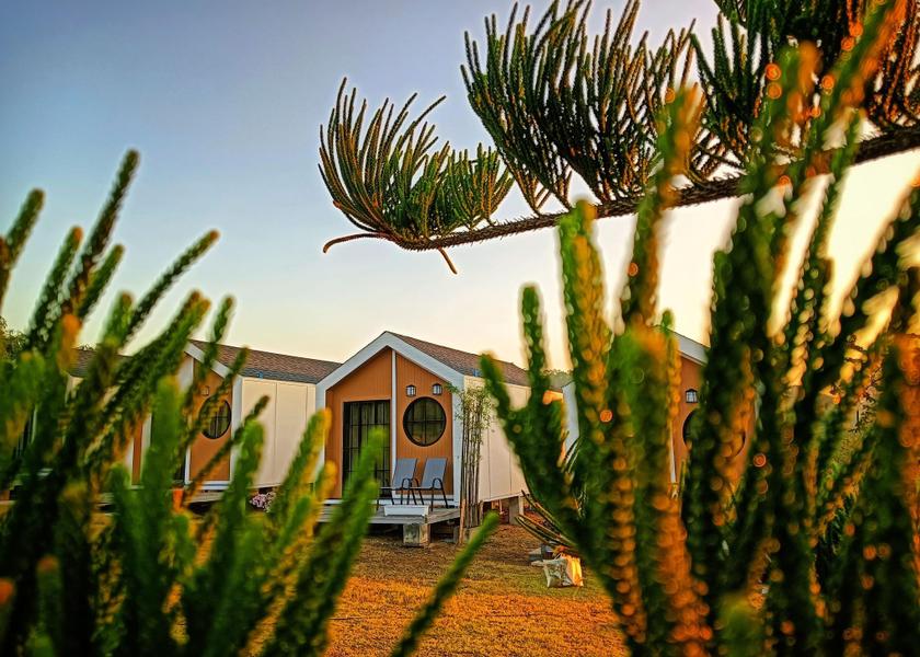 Surrounding environment