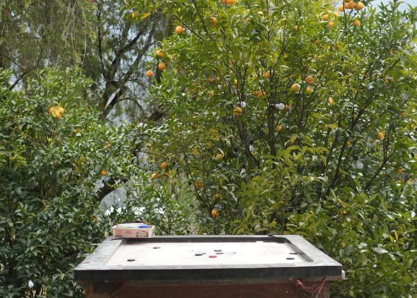 Recreational facilities