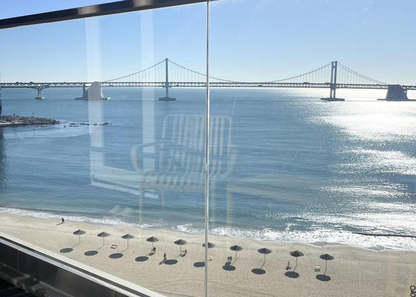  Busan View