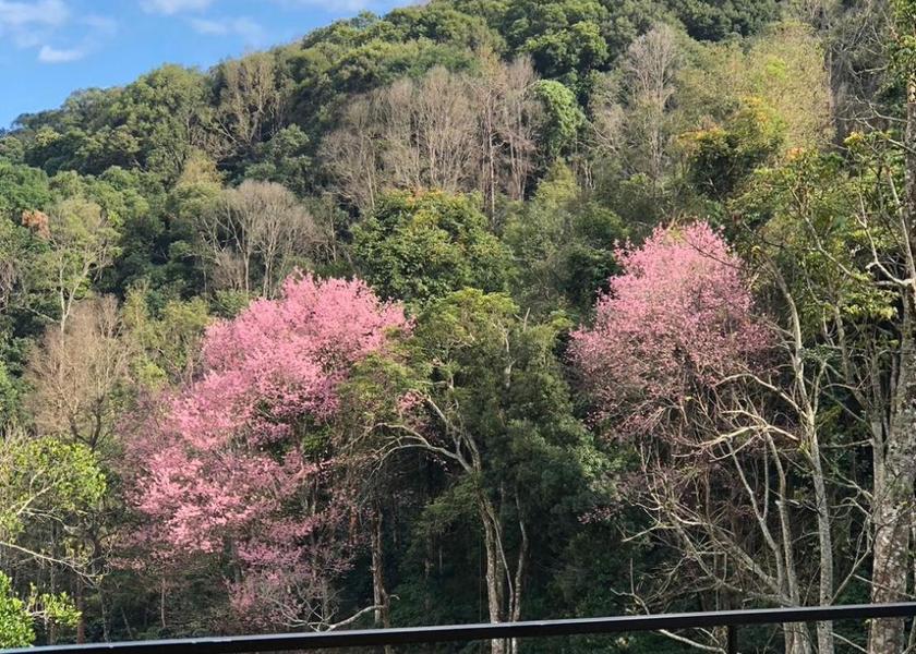 Chiang Mai Province Chom Thong View