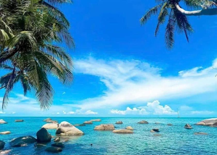 Surrounding environment