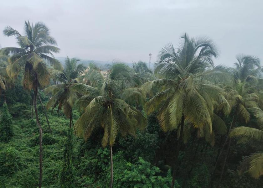 Surrounding environment