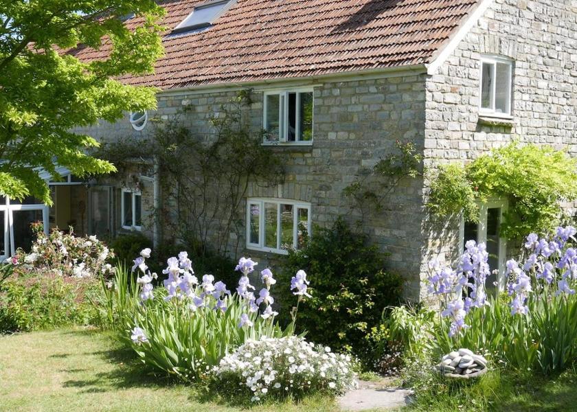 England Bridgwater Garden