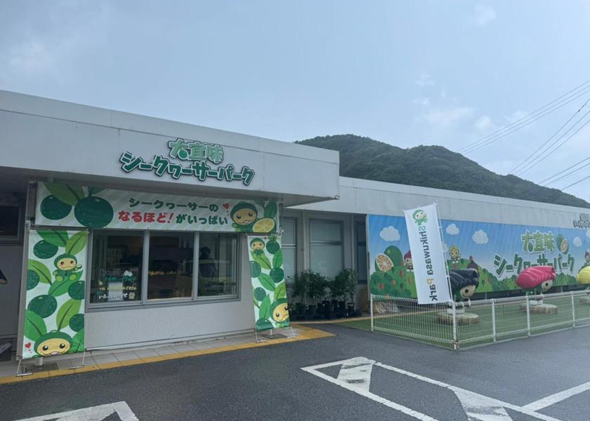 Okinawa Ogimi 