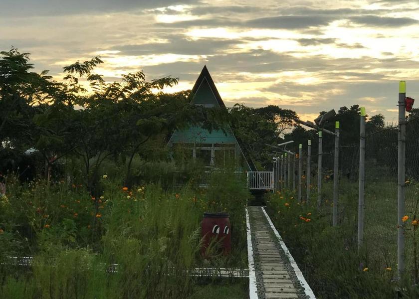 Ilocos Region Urdaneta City Surrounding environment