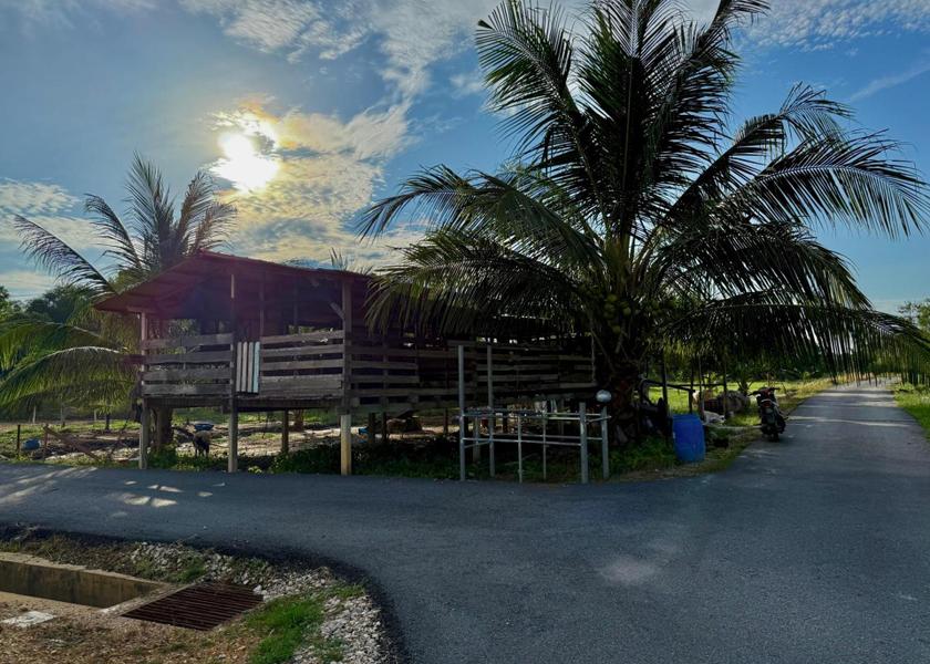 Terengganu Marang View