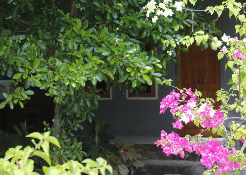 Surrounding environment