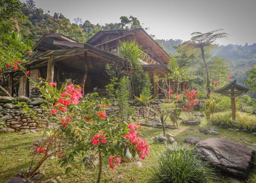 North Sumatra Bukit Lawang Garden