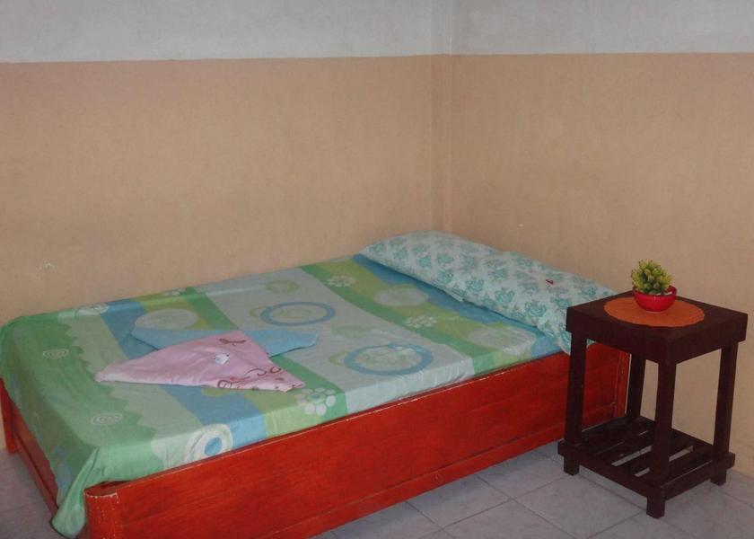 Western Visayas Roxas City Room plan