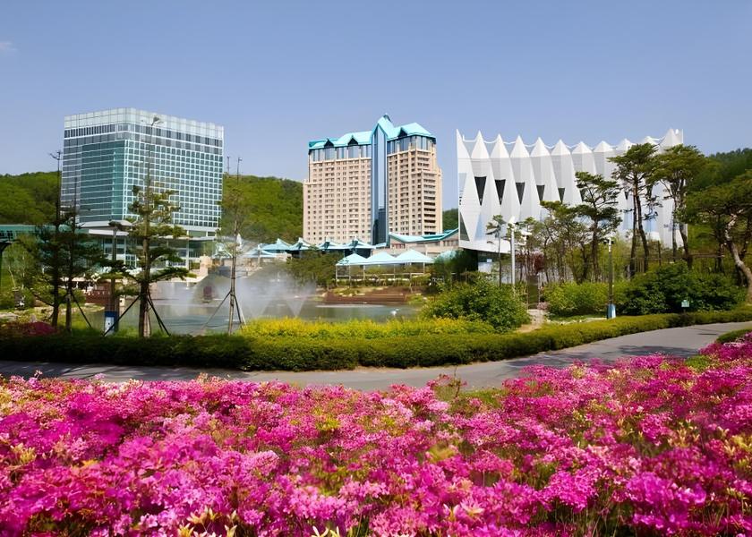 Gangwon Jeongseon 