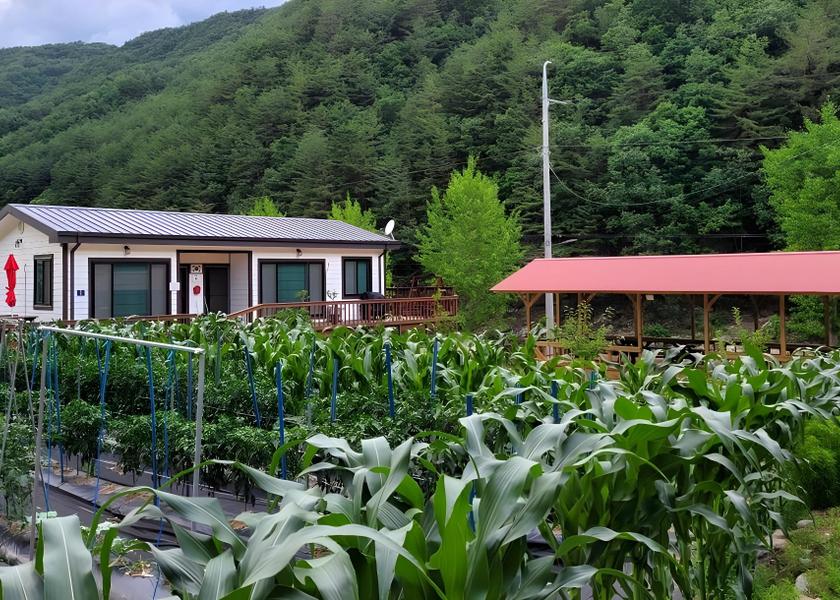 North Gyeongsang Uljin 