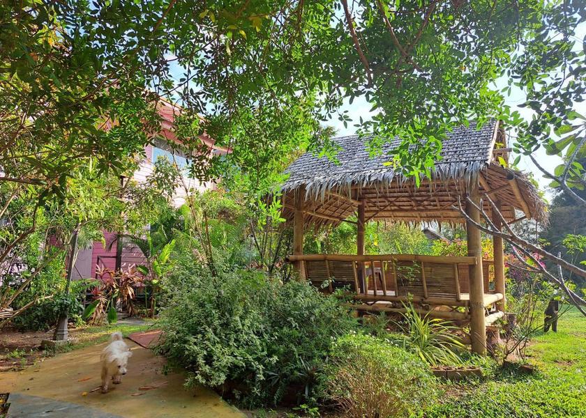 Pathum Thani Province Khlong Luang Outdoors