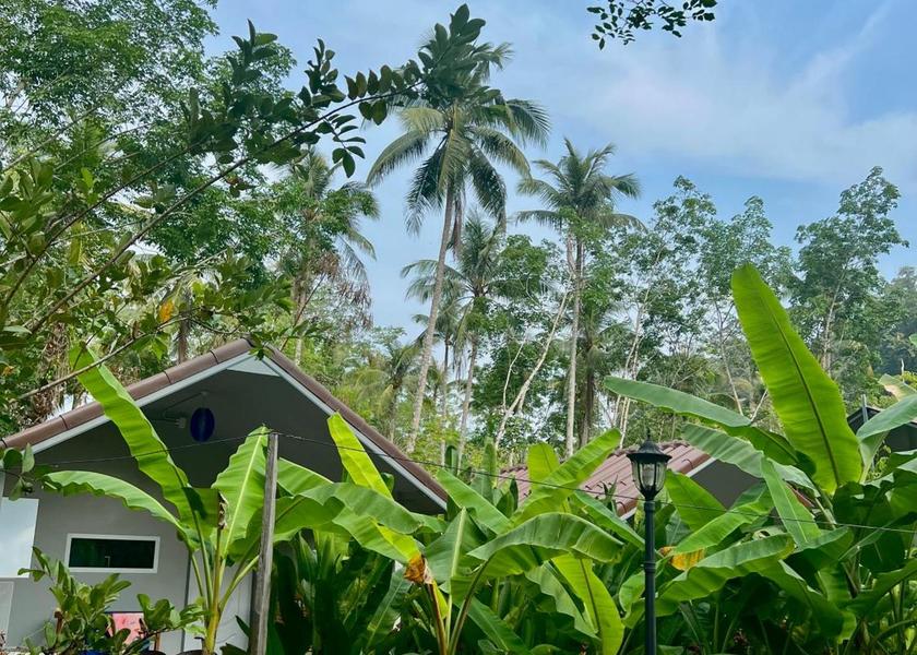 Surrounding environment