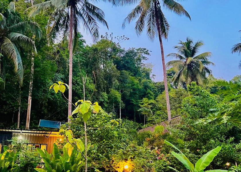 Surrounding environment