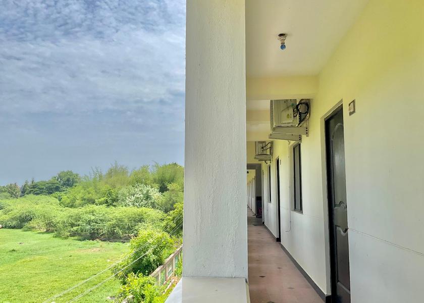 Tamil Nadu Chidambaram Outdoors