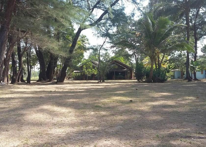 Phuket Province Mai Khao Outdoors