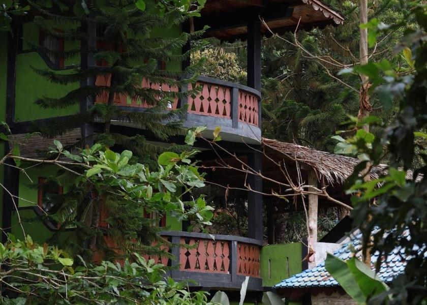 North Sumatra Bohorok 