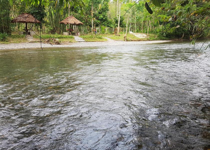 North Sumatra Bohorok Surrounding environment