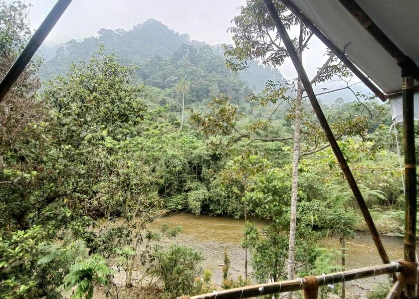 North Sumatra Bohorok 