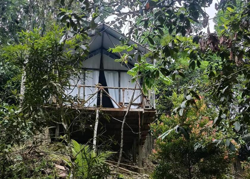 North Sumatra Bohorok 