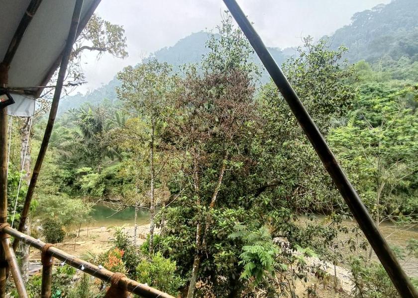 North Sumatra Bohorok 