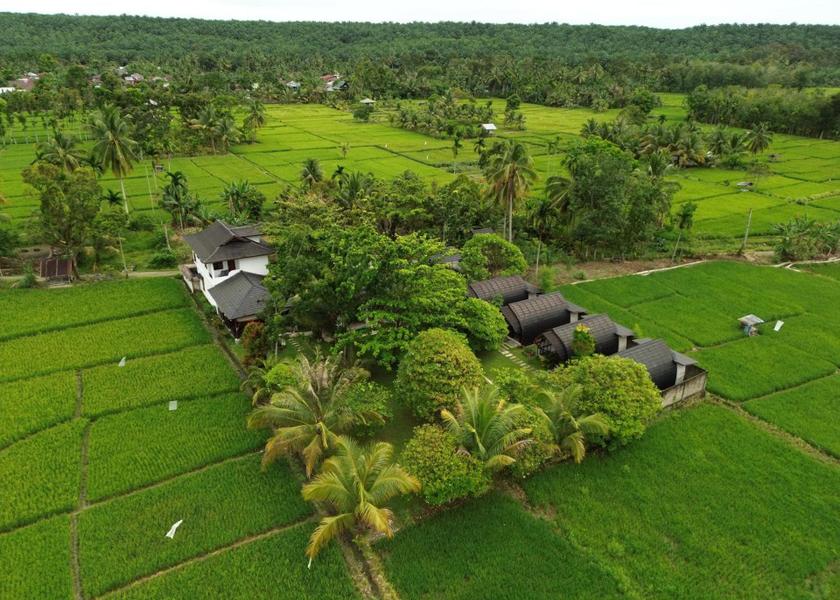 North Sumatra Bohorok 