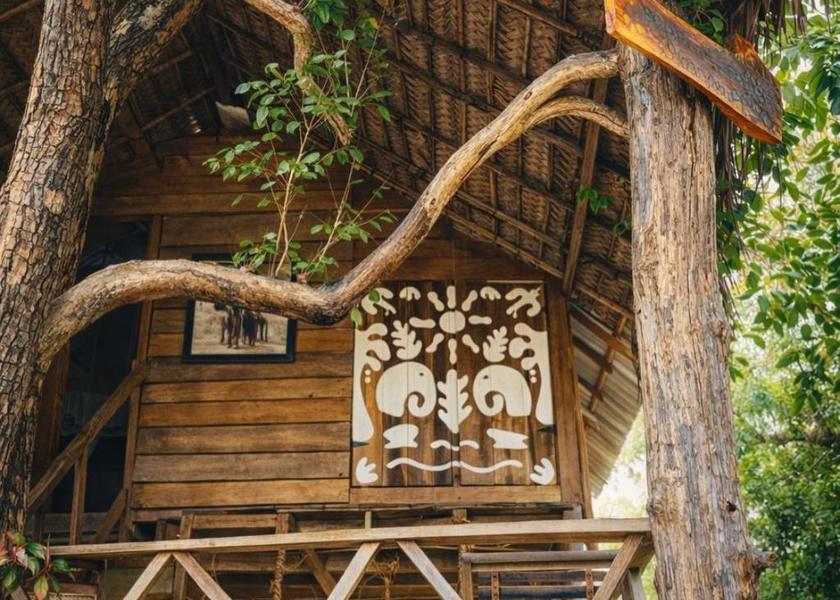 Central Province Sigiriya 