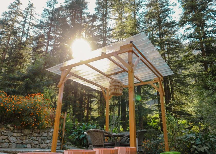 Himachal Pradesh Jibhi Surrounding environment