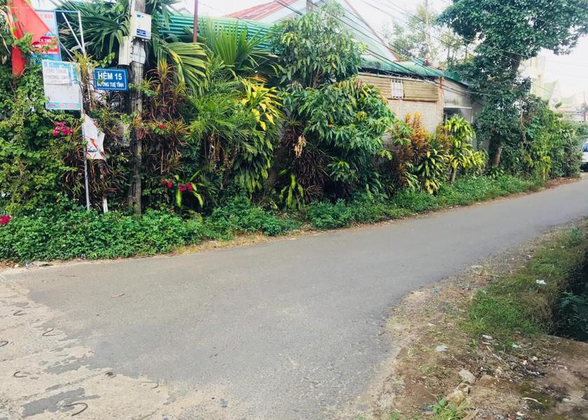 Lam Dong Province Bao Loc Surrounding environment