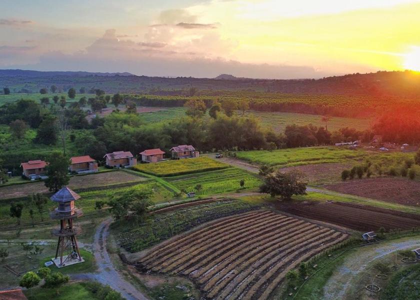 Surrounding environment