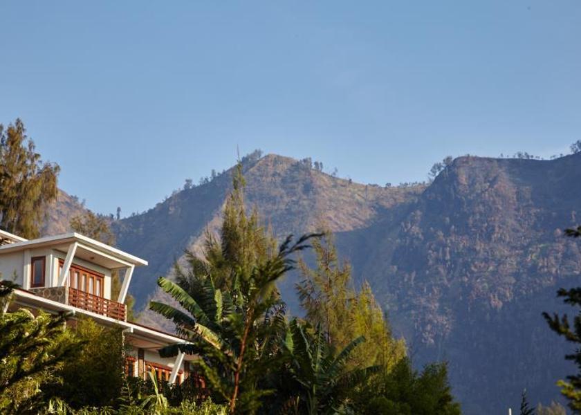 Surrounding environment