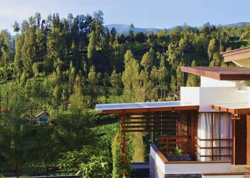 Surrounding environment