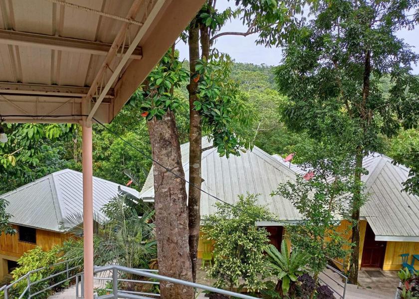 Surrounding environment