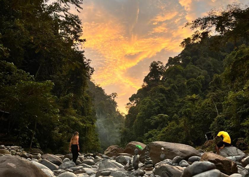 North Sumatra Bohorok 