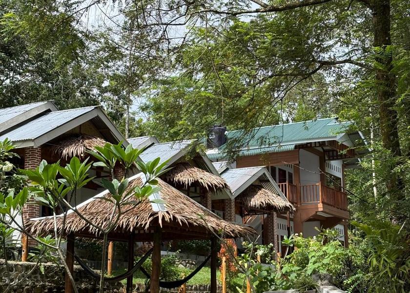 North Sumatra Bohorok 