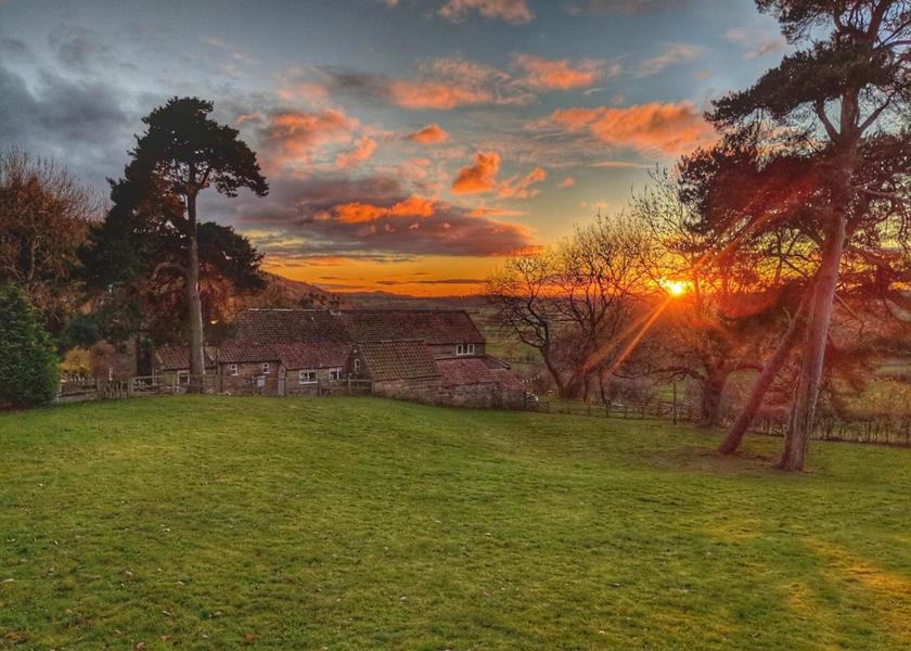 Surrounding environment