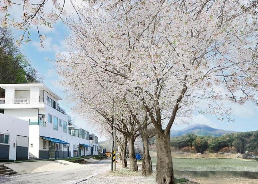 Gyeonggi Gapyeong 