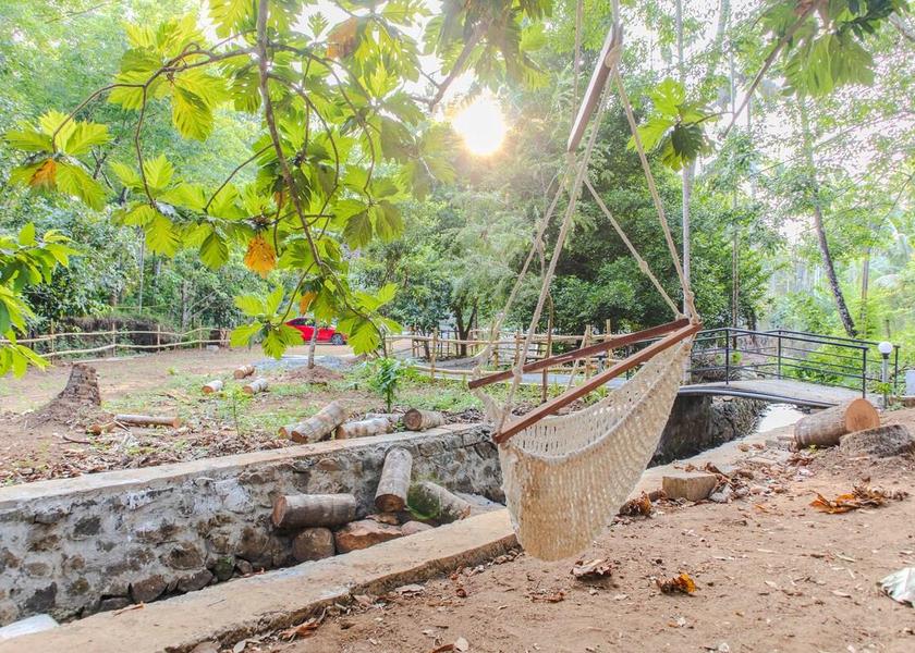 Kerala Thrissur View